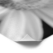 花の白黒の写真 フォトプリント            (角)