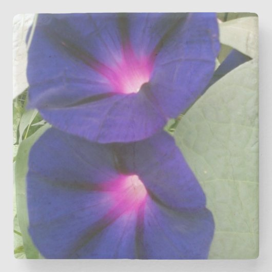 花の石造りのコースター ストーンコースター (正面)