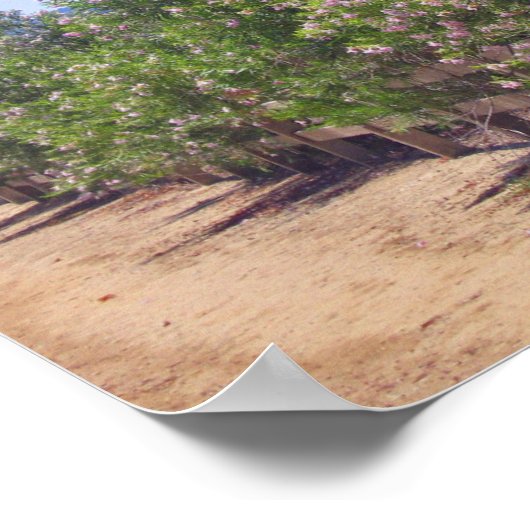 花の砂漠の柳と道 ポスター (角)