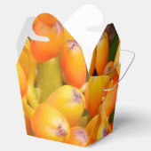 花の種が好意ボックスを取る フェイバーボックス (オープン)