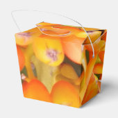 花の種が好意ボックスを取る フェイバーボックス (裏面サイド)