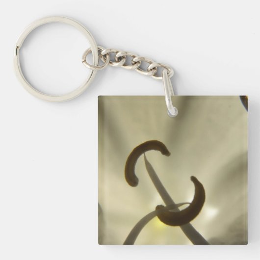 花の種 キーホルダー (正面)