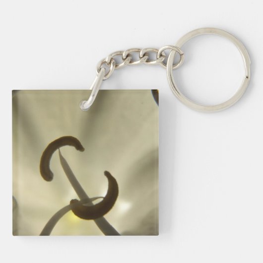 花の種 キーホルダー (裏面)