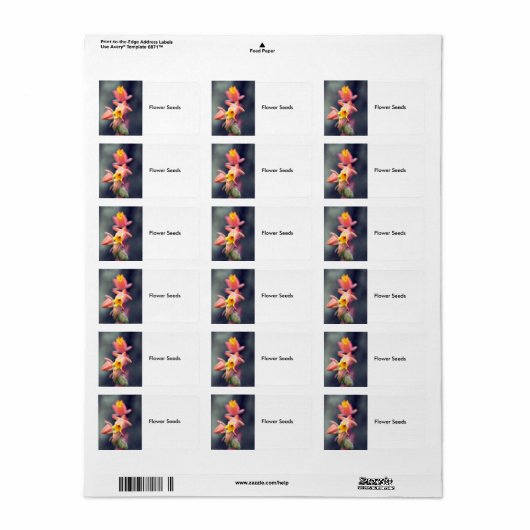 花の種 ラベル (フルシート)