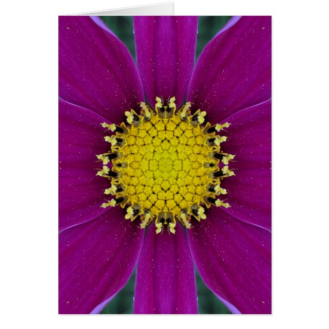 花の空白のなカード (正面)