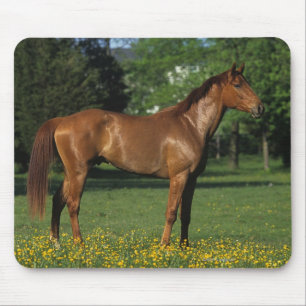 花の純血種の馬 マウスパッド