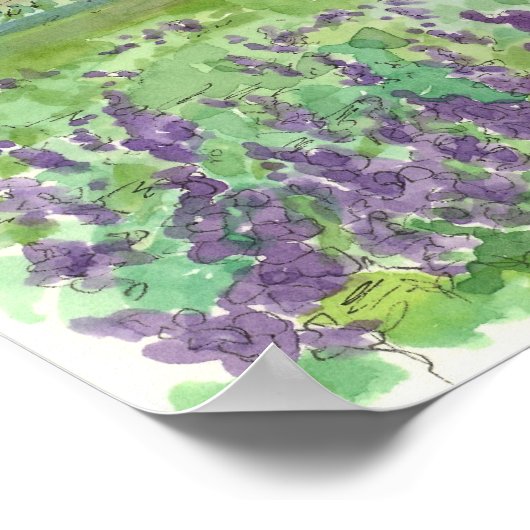 花の紫色のルピネフィールド水彩草原 ポスター (角)