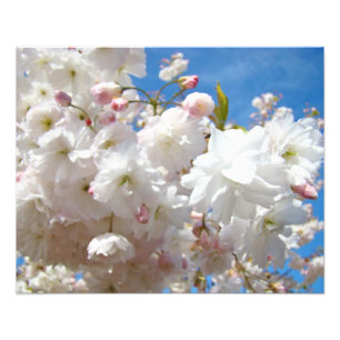 花の自然写真プリント 花咲く花々 フォトプリント