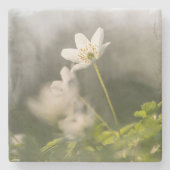 花の自然写真 ストーンコースター (正面)