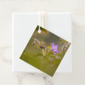 花の自然写真 フェイバータグ (インサイチュ)