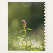 花の自然写真 プランナー手帳 (裏面)