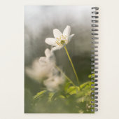 花の自然写真 プランナー手帳 (裏面)
