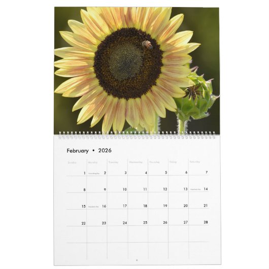 花の自然 カレンダー (2月 2026)