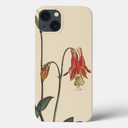 花の花の植物園のiPhone6ケース Case-Mate iPhoneケース (裏面)