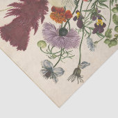 花の花束（匿名） 薄葉紙 (詳細)