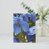 花の花花びら園つる植物 ポストカード (スタンド正面)