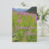 花の花 サンキューカード (スタンド正面)