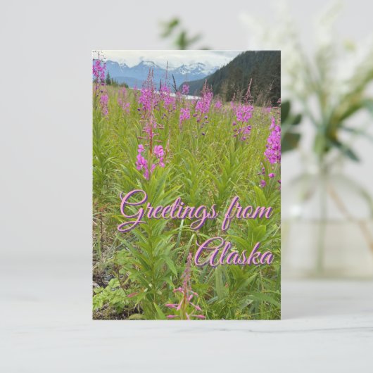 花の花 サンキューカード (スタンド正面)