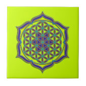 花の花/ブルームデレベンス – Lotus Contour タイル (正面)