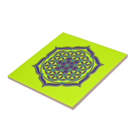 花の花/ブルームデレベンス – Lotus Contour タイル (側面)