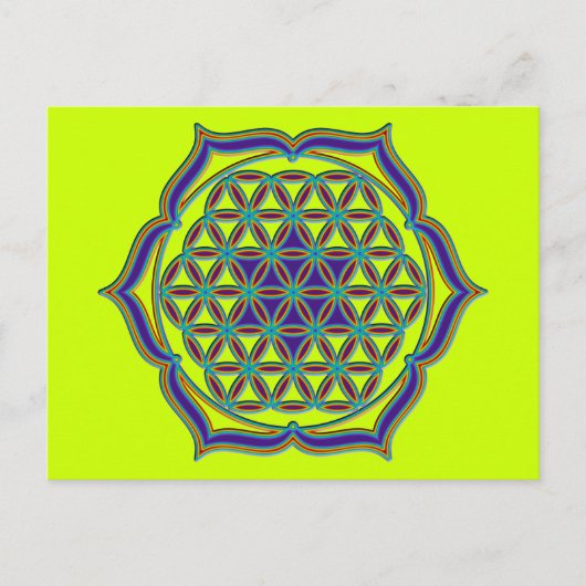 花の花/ブルームデレベンス – Lotus Contour ポストカード (正面)