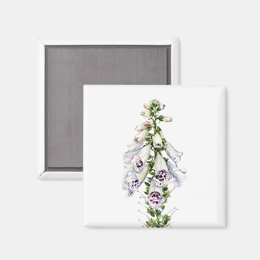 花の花 マグネット (正面/裏面)