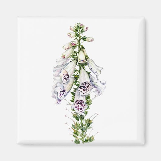 花の花 マグネット (正面)