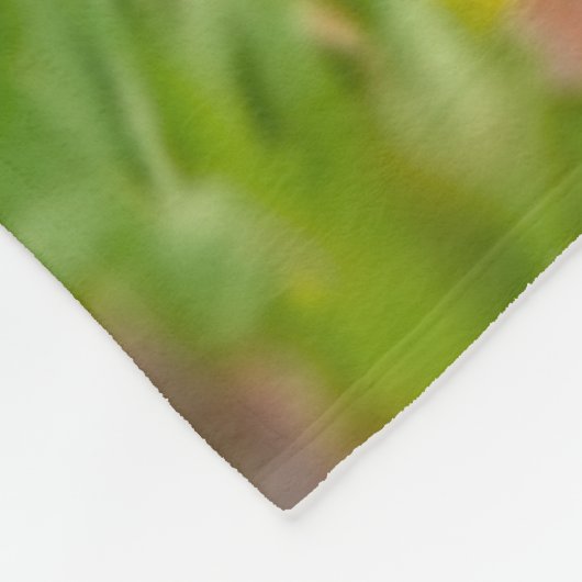 花の草原に猫を飼うメインあらいぐま フリースブランケット (角)