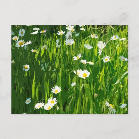 花の草原 インビテーションポストカード (正面)