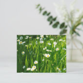 花の草原 インビテーションポストカード (スタンド正面)