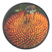 花の虫 アイスホッケーパック (正面)