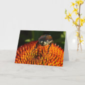 花の虫 カード (黄色い花)