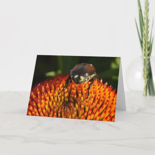 花の虫 カード (正面)