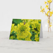 花の虫 カード (黄色い花)