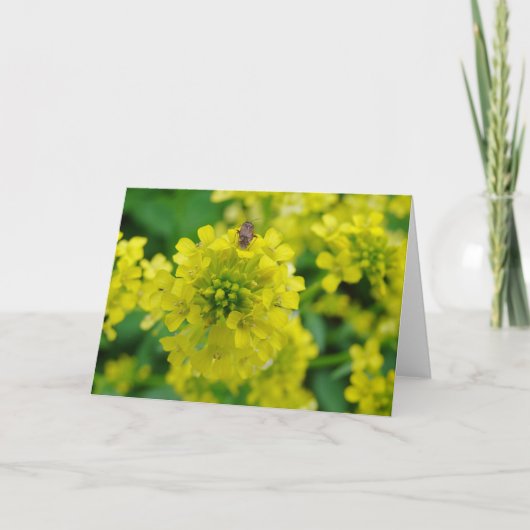 花の虫 カード (正面)