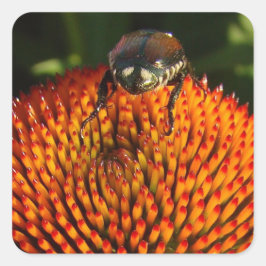 花の虫 スクエアシール