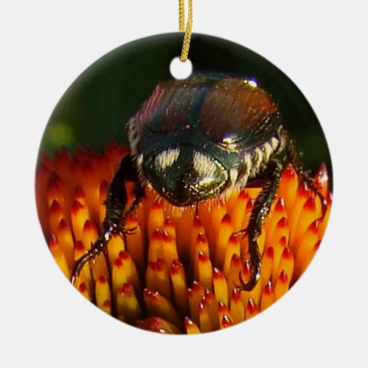 花の虫 セラミックオーナメント (正面)