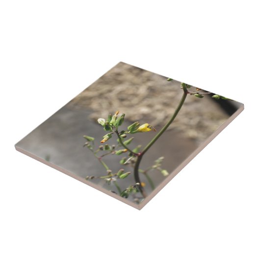 花の虫 タイル (側面)