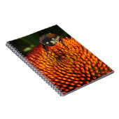 花の虫 ノートブック (右側)