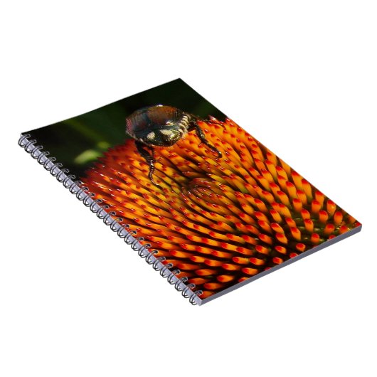 花の虫 ノートブック (右側)