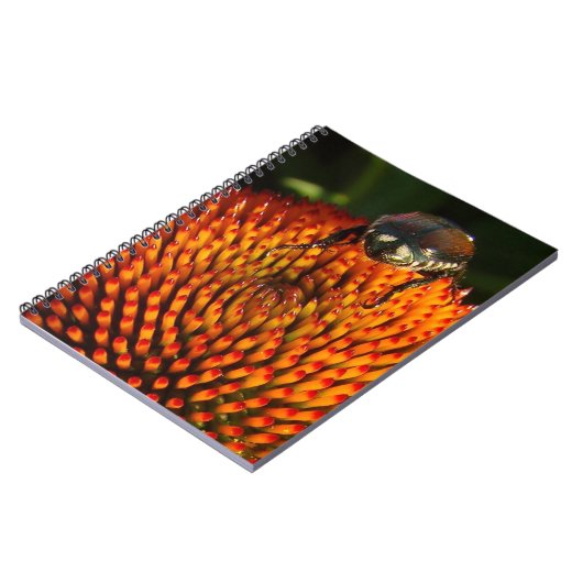 花の虫 ノートブック (左側)