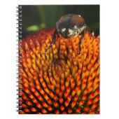 花の虫 ノートブック (正面)