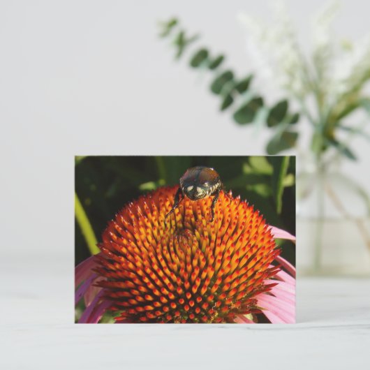 花の虫 ポストカード (スタンド正面)