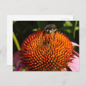 花の虫 ポストカード (正面/裏面)