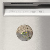 花の虫 マグネット (インサイチュ (食洗機))