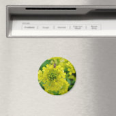 花の虫 マグネット (インサイチュ (食洗機))