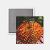 花の虫 マグネット (正面/裏面)