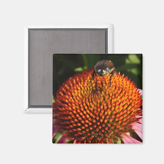 花の虫 マグネット (正面/裏面)