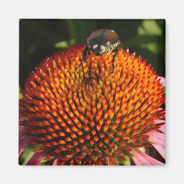 花の虫 マグネット