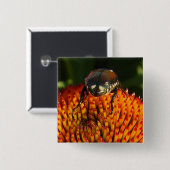 花の虫 缶バッジ (正面&裏面)